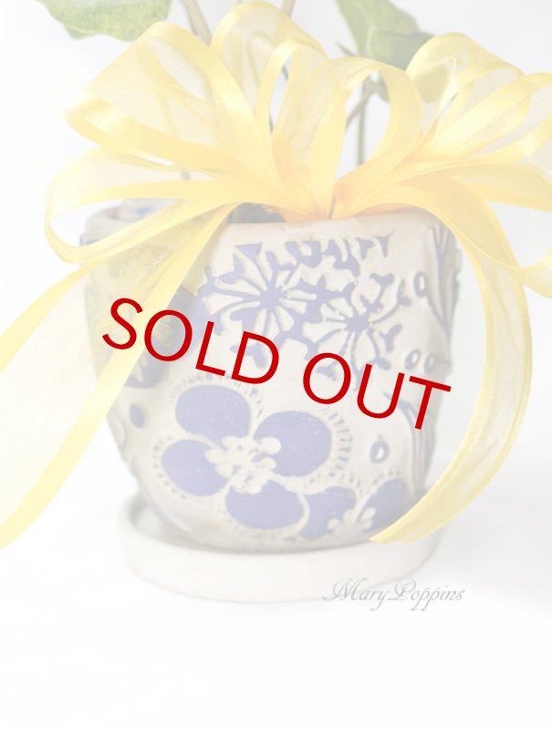 画像4: 石蕗 （ツワブキ）の鉢植えギフト (4)