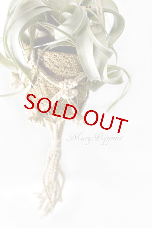 画像5: キセログラフィカとマクラメ・ハンギングポットのギフトset (5)