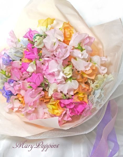 専用 スイートピー 菜の花 クレイフラワー スイートピーの花束・colorful spring colors|フラワーギフト