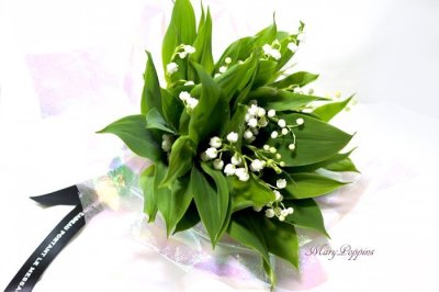 画像3: 鈴蘭（スズラン）の花束〜Muguet