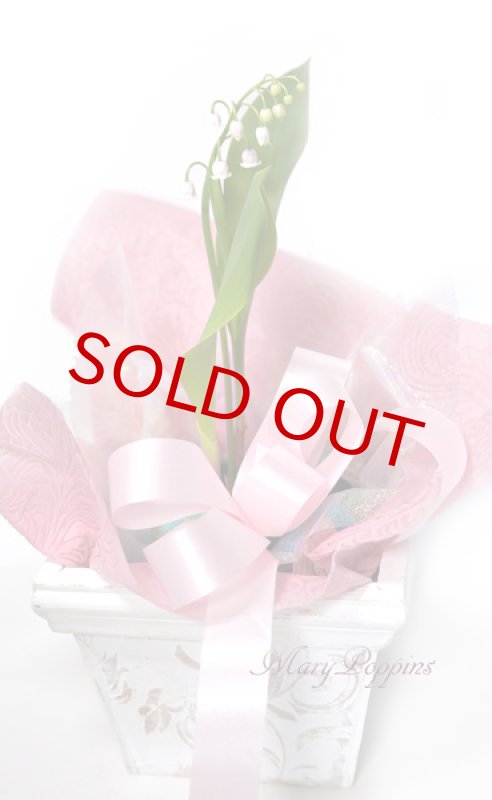 画像4: ピンク鈴蘭（スズラン）の鉢植えギフト (4)