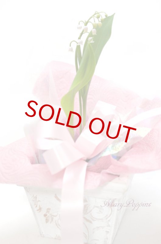 画像3: ピンク鈴蘭（スズラン）の鉢植えギフト (3)