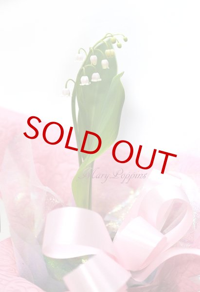 ピンク鈴蘭（すずらん）の鉢植えギフト|フラワーギフトMaryPoppins