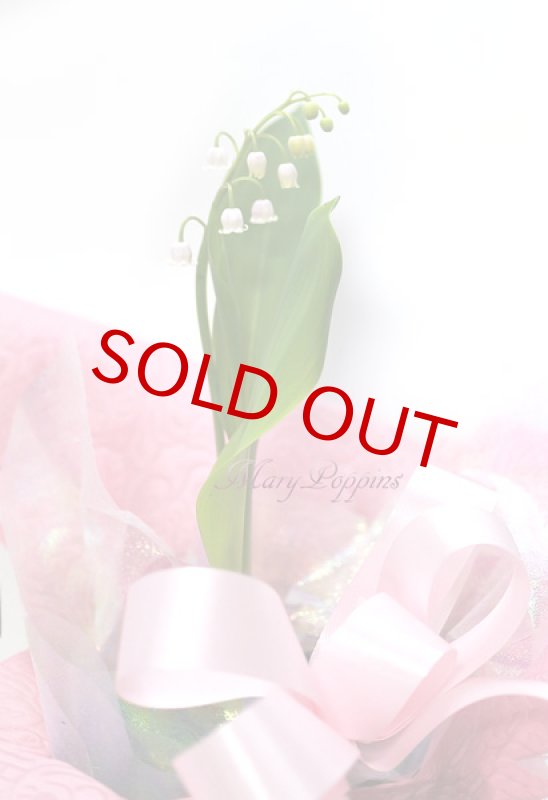 画像2: ピンク鈴蘭（スズラン）の鉢植えギフト (2)