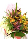 画像1: メキシカンハットとグズマニアの花束 (1)