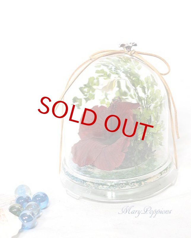 画像6: ハイビスカスとプルメリアのプリザーブドアレンジ (6)