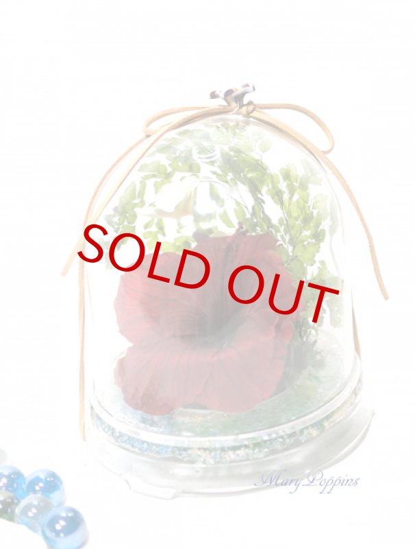 画像4: ハイビスカスとプルメリアのプリザーブドアレンジ (4)