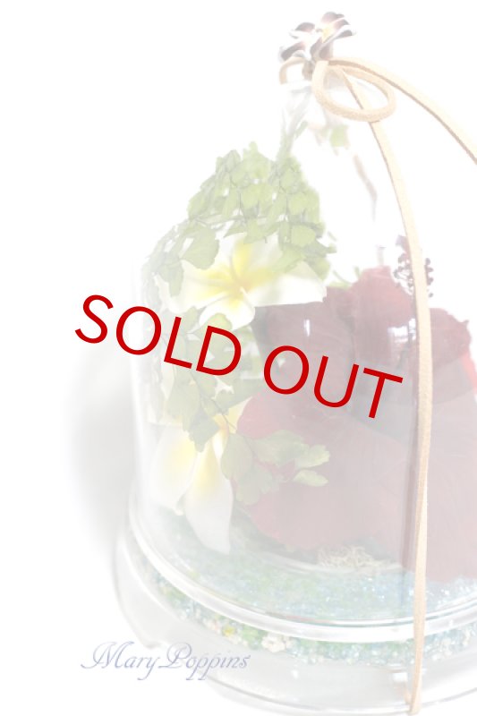 画像3: ハイビスカスとプルメリアのプリザーブドアレンジ (3)