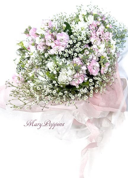 ストックと、かすみ草の花束|フラワーギフトMaryPoppins