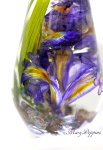 画像4: アイリスのハーバリウム・Iris (4)