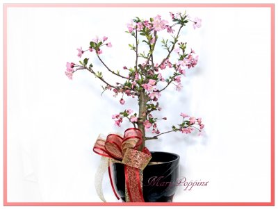 画像2: 花海棠（ハナカイドウ）の鉢植えギフト
