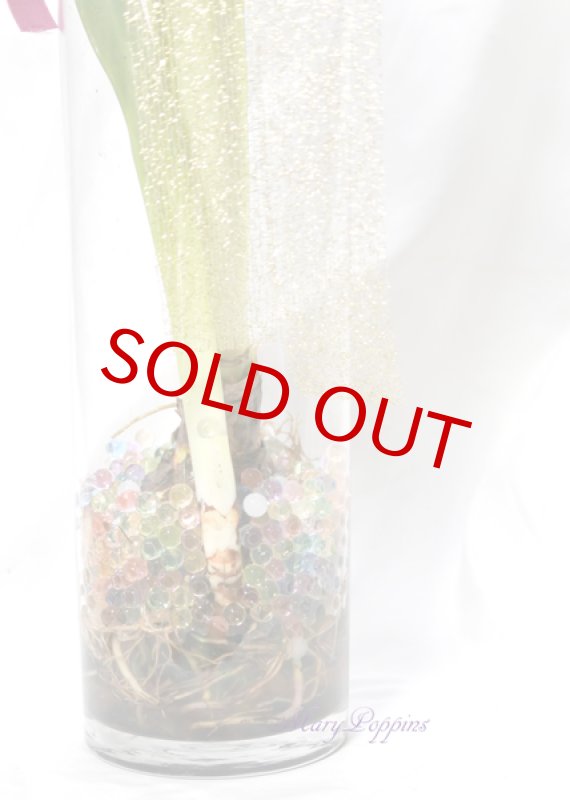 画像3: アマリリスのグラスポット・ギフト (3)