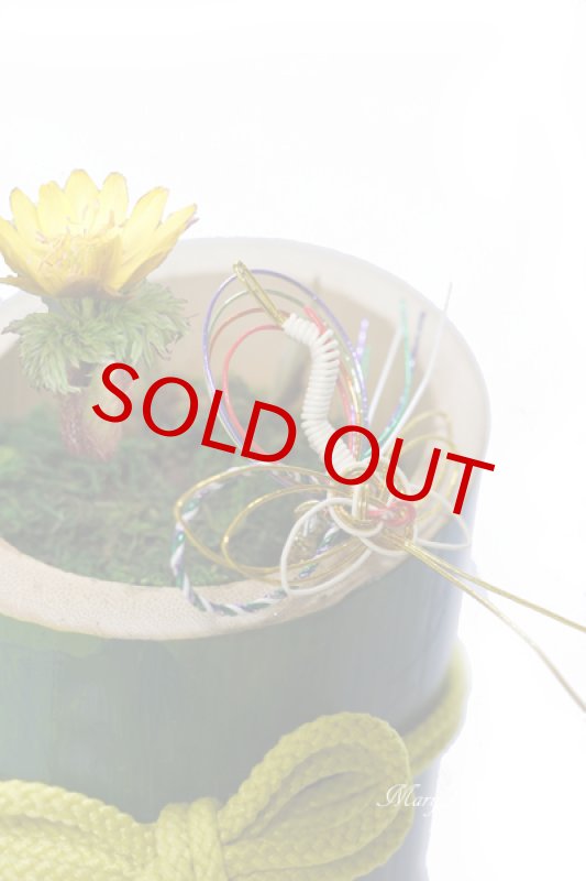 画像6: 福寿草の竹筒ポットの贈物 (6)