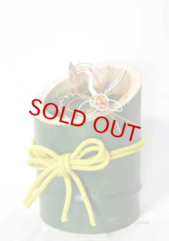 画像5: 福寿草の竹筒ポットの贈物 (5)