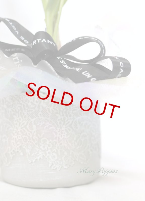 画像5: 鈴蘭（スズラン）の鉢植えギフト (5)