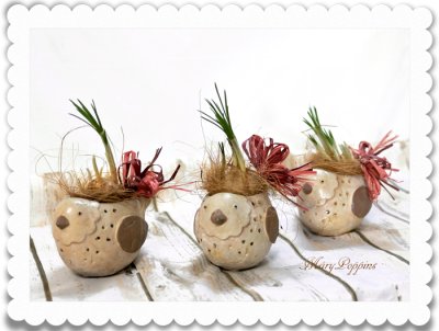 画像1: サフランと小鳥の球根ギフト