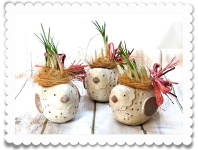 画像3: サフランと小鳥の球根ギフト