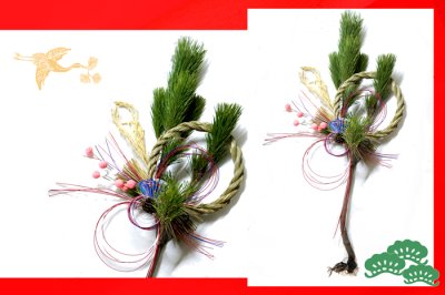 画像1: 根引松のお正月飾り