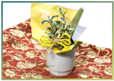 画像3: 柊の鉢植えギフト