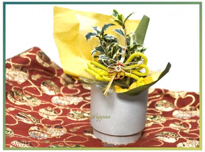 画像2: 柊の鉢植えギフト