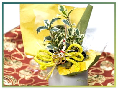 画像1: 柊の鉢植えギフト