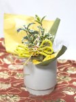 画像6: 柊の鉢植えギフト (6)