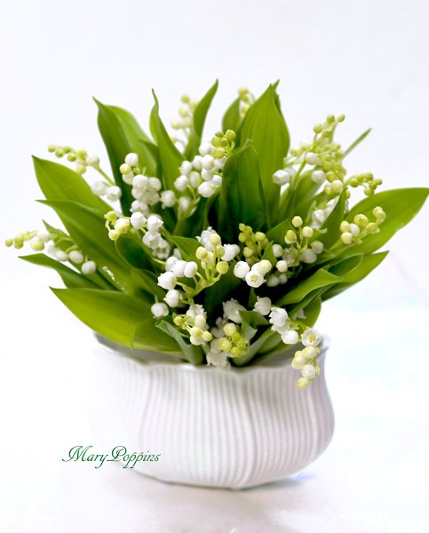 鈴蘭（スズラン）の花束〜Muguet｜フラワーギフトMaryPoppins