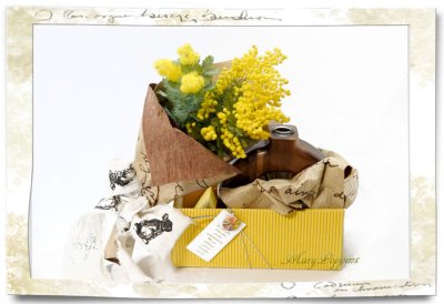 画像3: ミモザ-アカシアのギフトセット