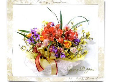 画像3: アマリリスと連翹の春のアレンジメント