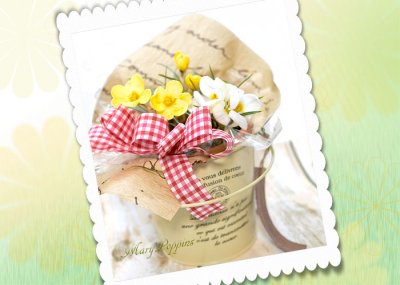 画像1: クロッカスの鉢植えギフト