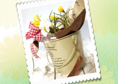 画像2: クロッカスの鉢植えギフト