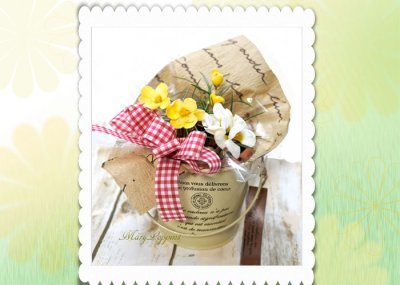 画像3: クロッカスの鉢植えギフト