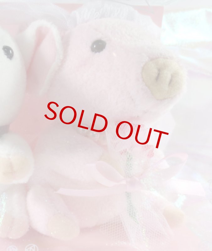 画像3: ウエルカム・ピッグ (3)