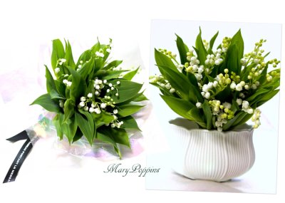 画像2: 鈴蘭（スズラン）の花束〜Muguet