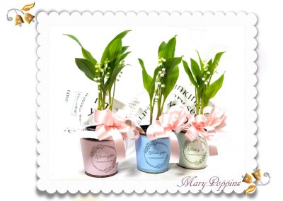 画像3: 鈴蘭（スズラン）の鉢植えギフト