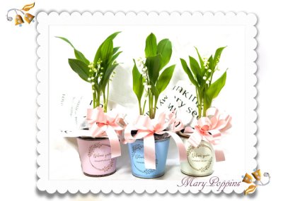 画像1: 鈴蘭（スズラン）の鉢植えギフト