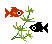 金魚