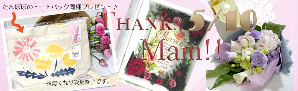 母の日に贈るおすすめのお花