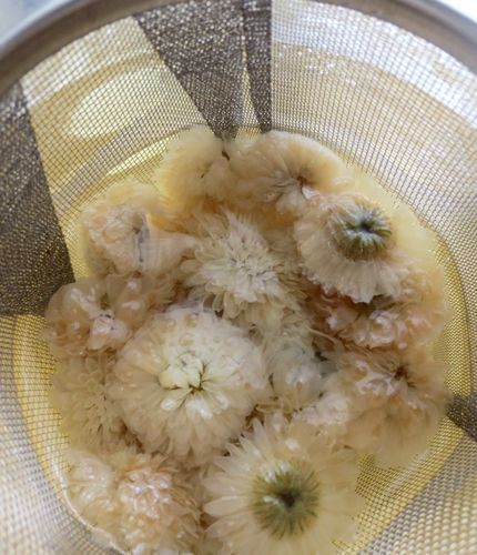 ハーブティとして ポプリの資材としてお使いいただける ローマンカモミールのお花のドライハーブです ハーブティとして ポプリの資材としてお使いいただける ローマンカモミールのお花のドライハーブです