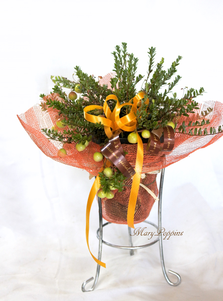 クランベリーの鉢植えギフト フラワーギフトmarypoppins